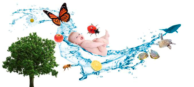 Logo colloque santé biodiversité 2014